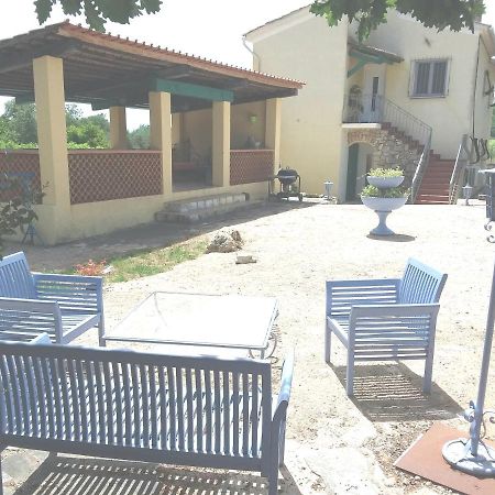 Entre Mer Et Montagne Les Arcs-sur-Argens Bagian luar foto